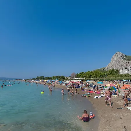 Maksim Omis
