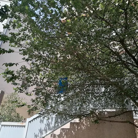 Apartman Maksim Omis